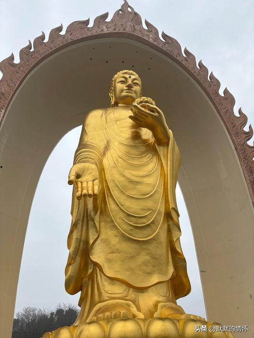 大佛最新爆料消息今天,揭秘娱乐圈惊人内幕！  第1张