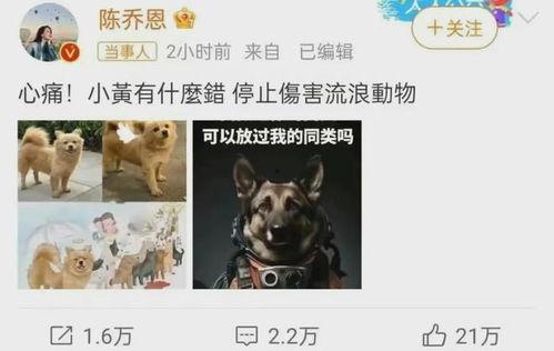 二狗爆料谢航视频大全集,谢航视频大全集深度解析  第3张