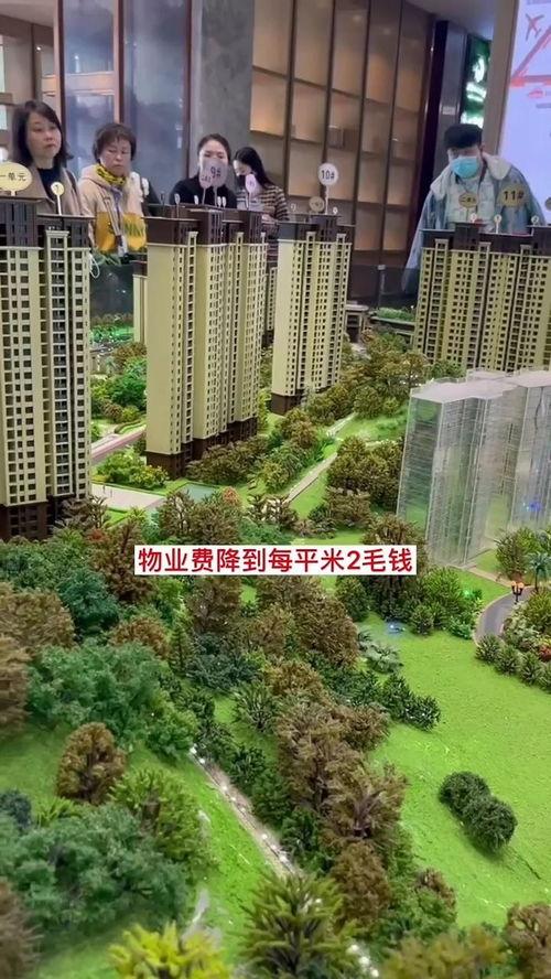 爆料房地产视频大全集最新,最新爆料视频大全集深度解析  第2张