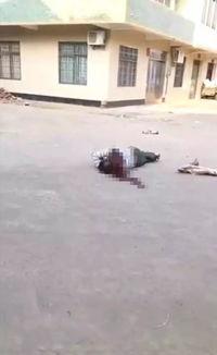 广东徐闻爆料事件最新,真相与争议交织的舆情风暴  第2张