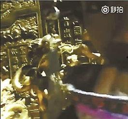 故宫最新爆料事件视频播放  第2张